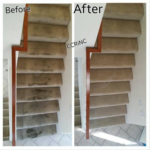 Photo of Complete Carpet Restoration