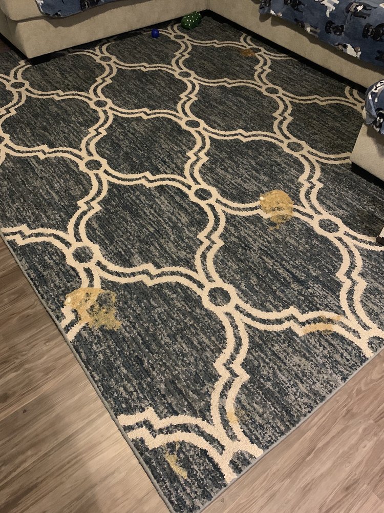 Photo of Extreme Clean