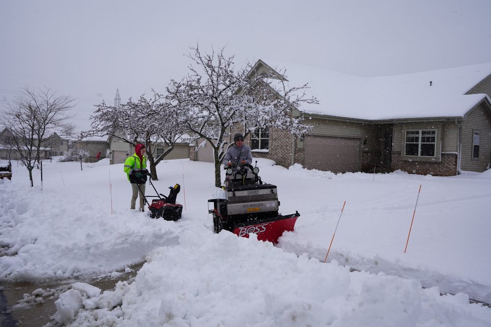 Photo of Quality Landscaping & Lawn Maintenance