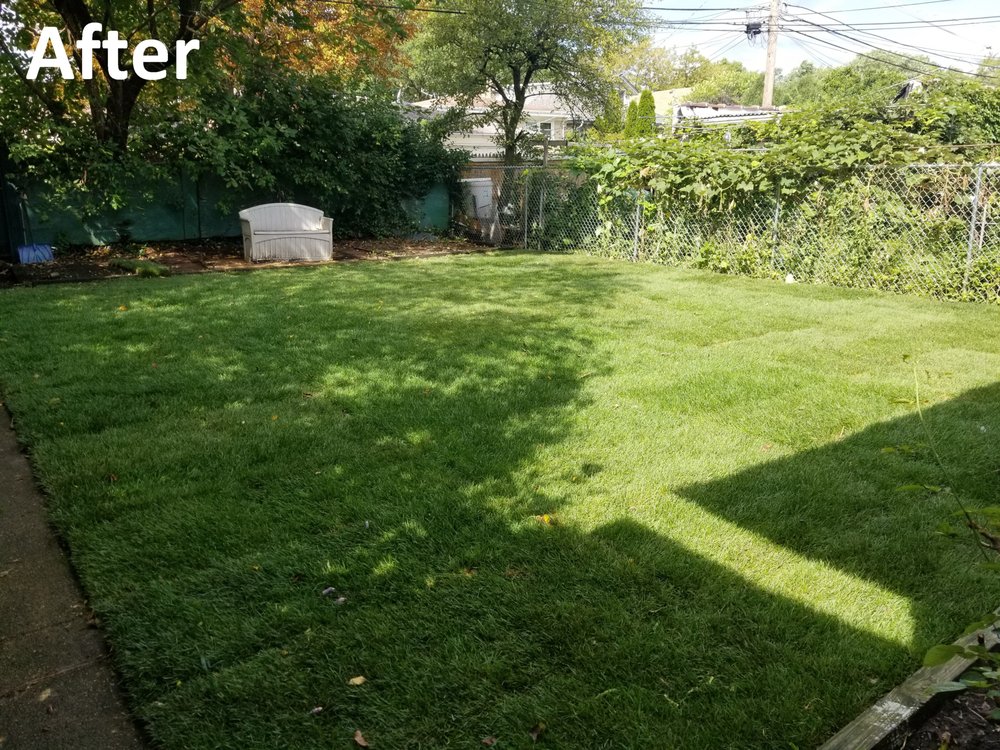 Photo of Green Edge Landscapes