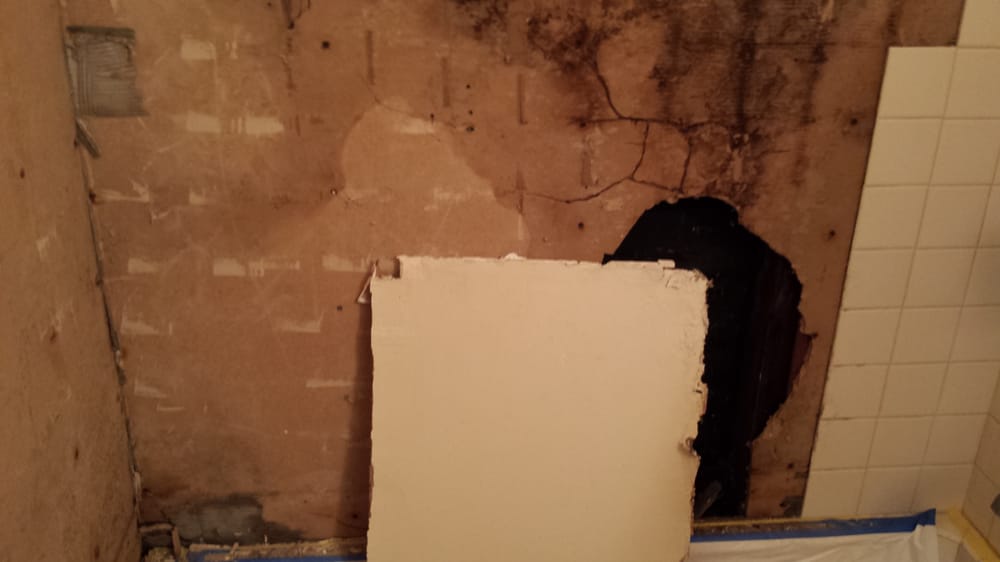 Photo of Phileo Handyman Services
