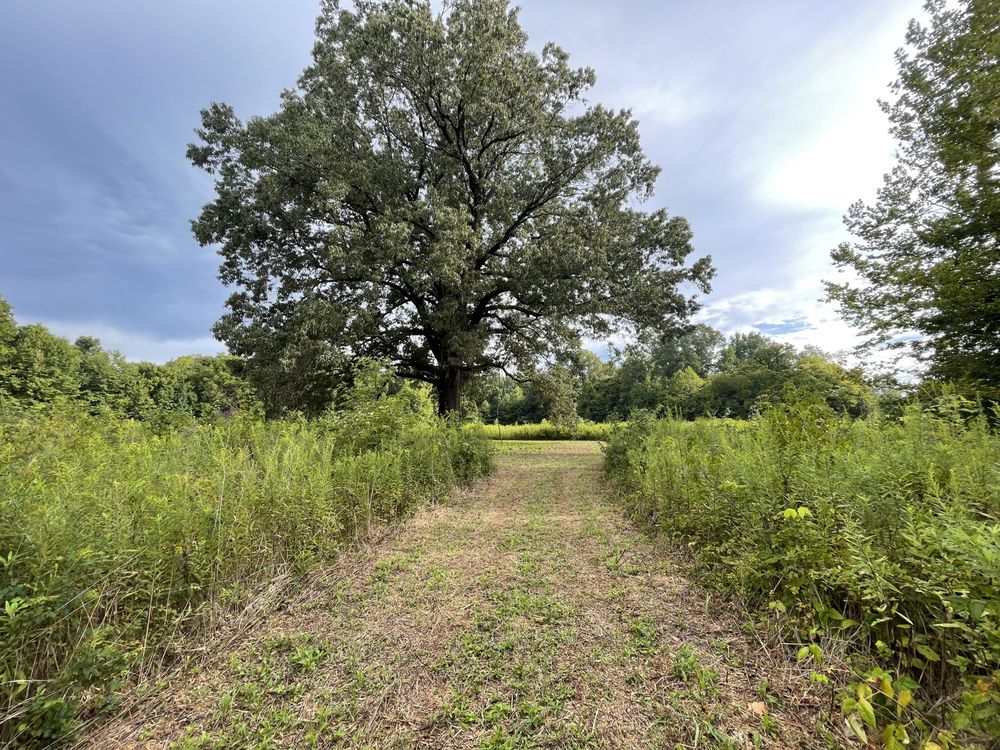 Photo of Camp Conquest