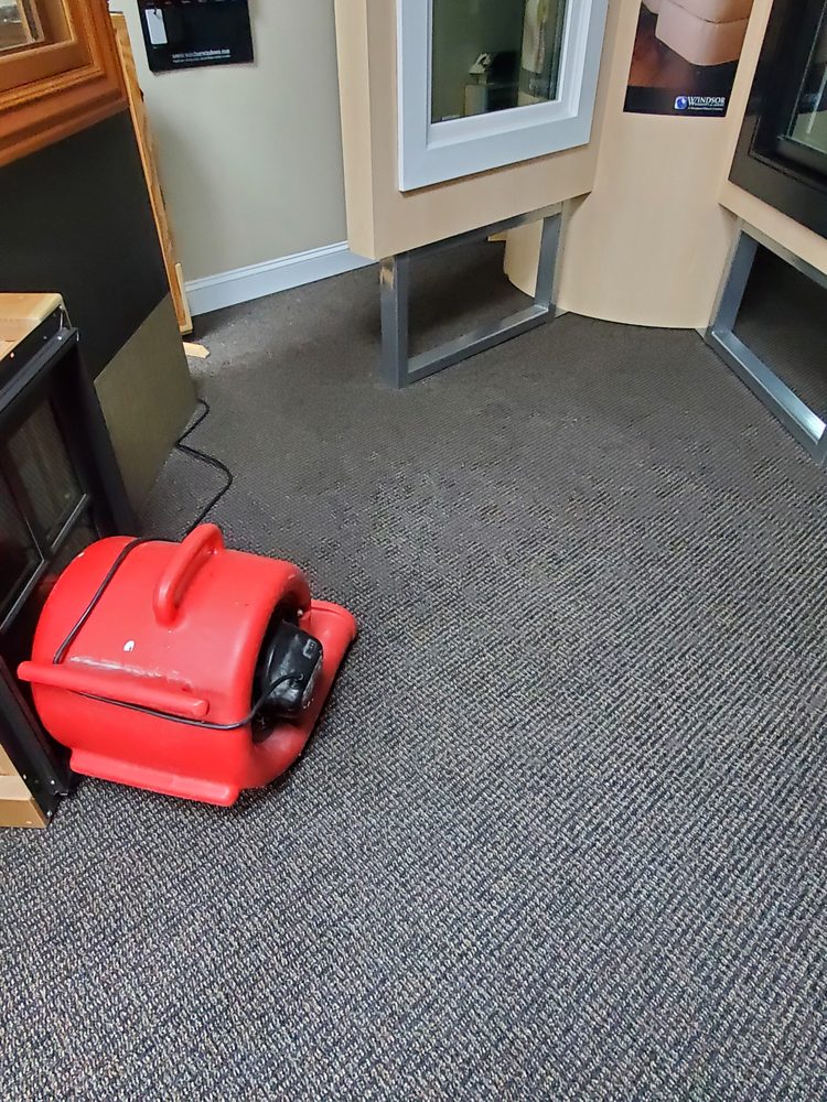 Photo of Carpet Cleaners Fairfax
