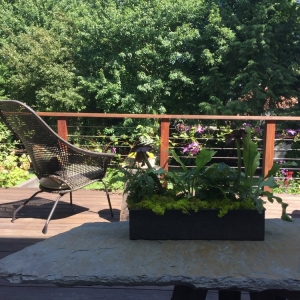 Photo of Bethesda Garden Design