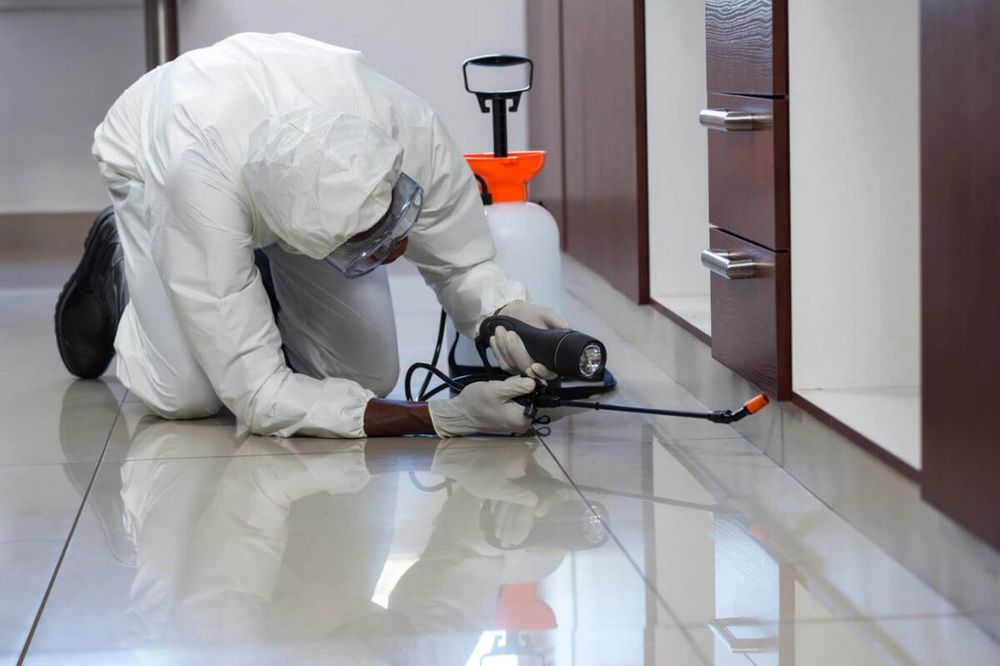 Photo of Advanced Bio Cleanup