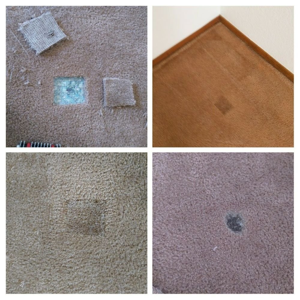Photo of All Star Carpet Tech