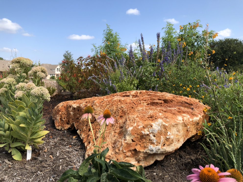 Photo of Texas Lawn and Garden