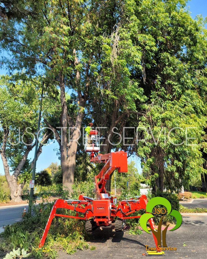 Photo of JSO Tree Service