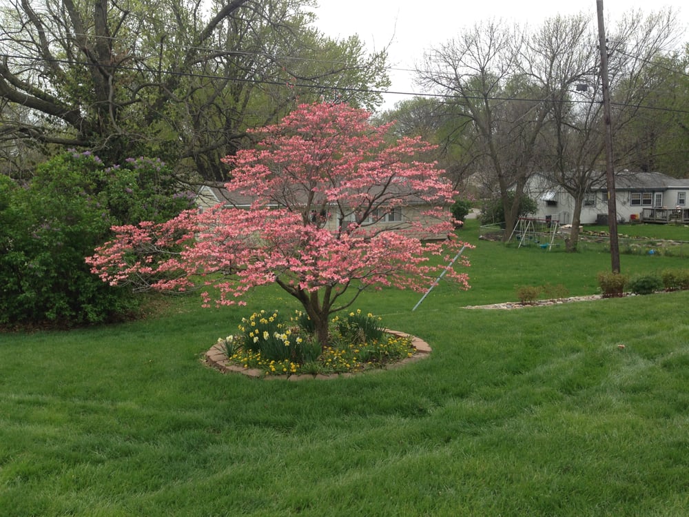 Photo of Green Seasons Lawn & Tree Service