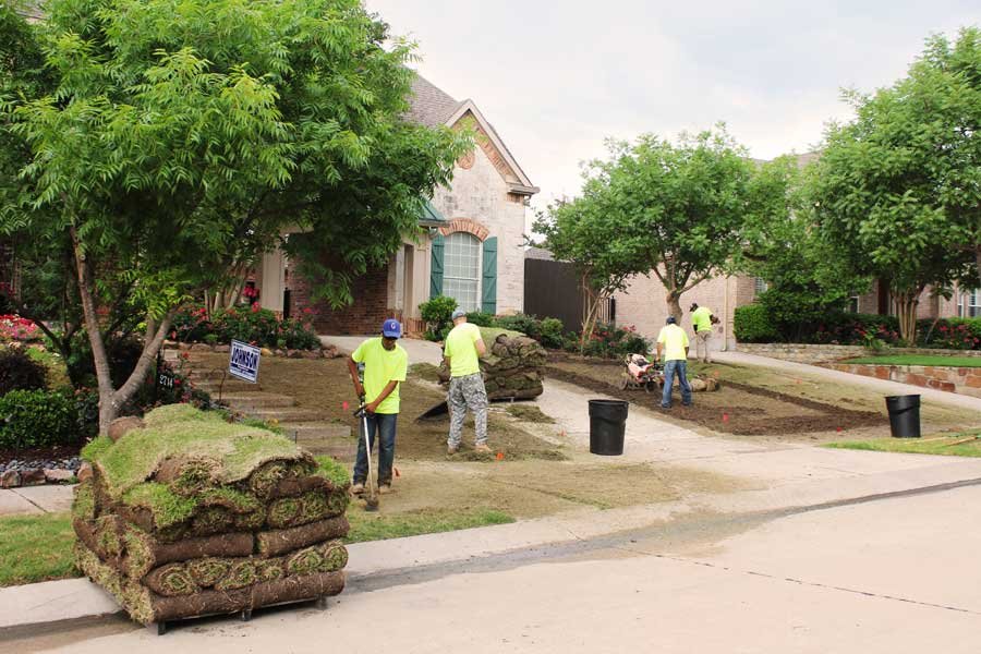 Photo of North Dallas Tree & Sod