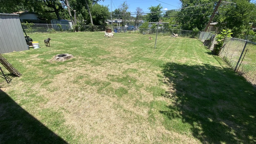 Photo of North Dallas Tree & Sod