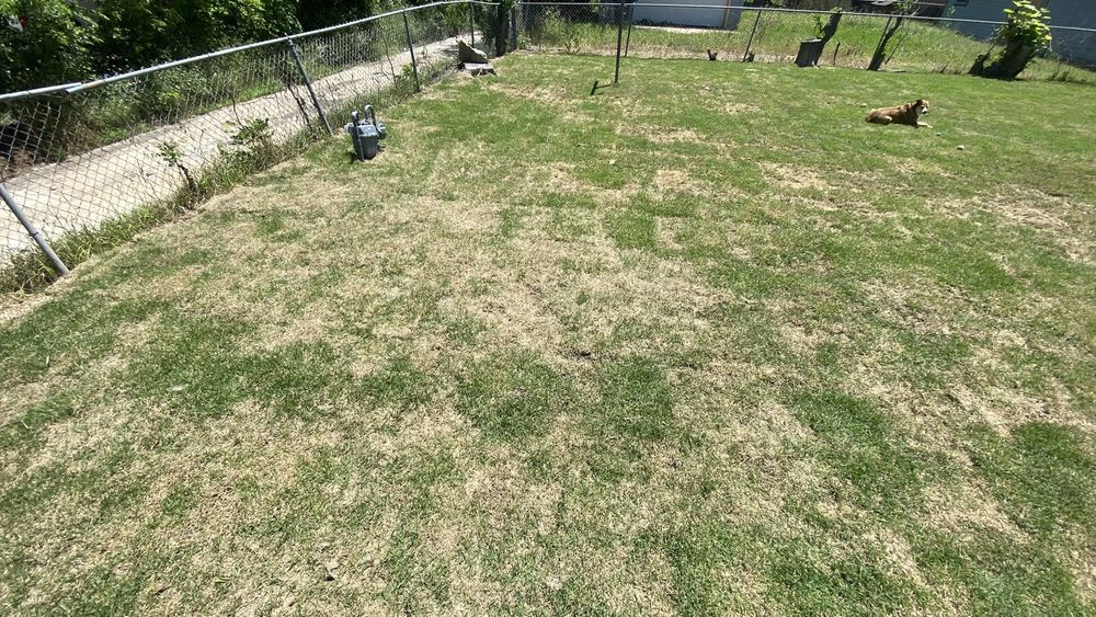 Photo of North Dallas Tree & Sod