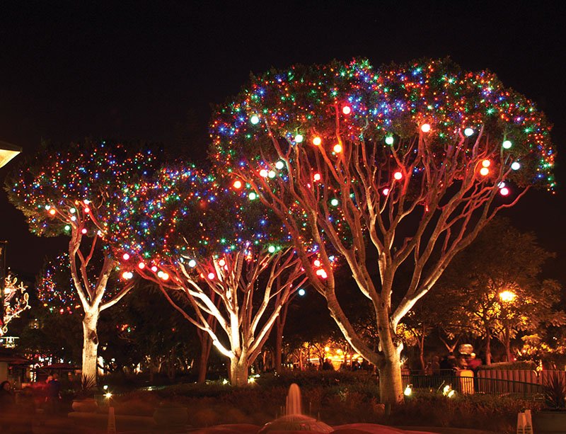 Photo of Arizona Christmas Lights