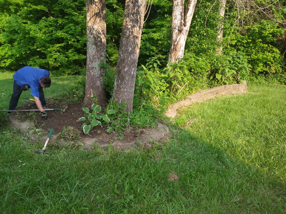 Photo of Lawn Dawgs