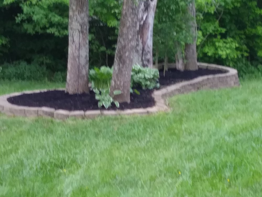 Photo of Lawn Dawgs