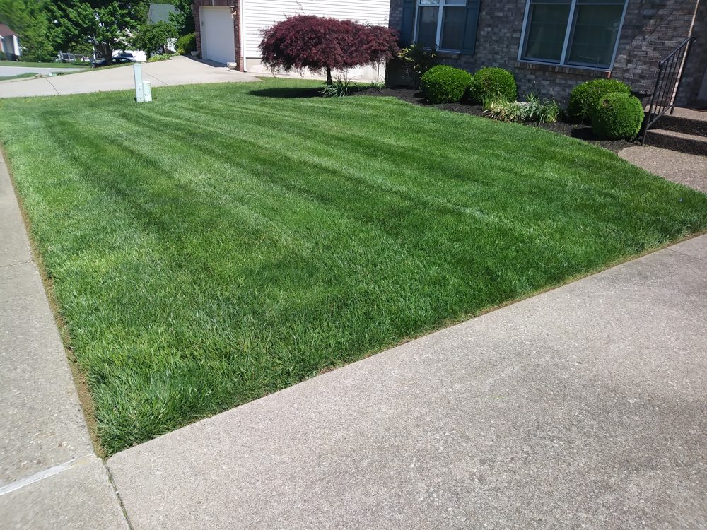 Photo of Lawn Dawgs