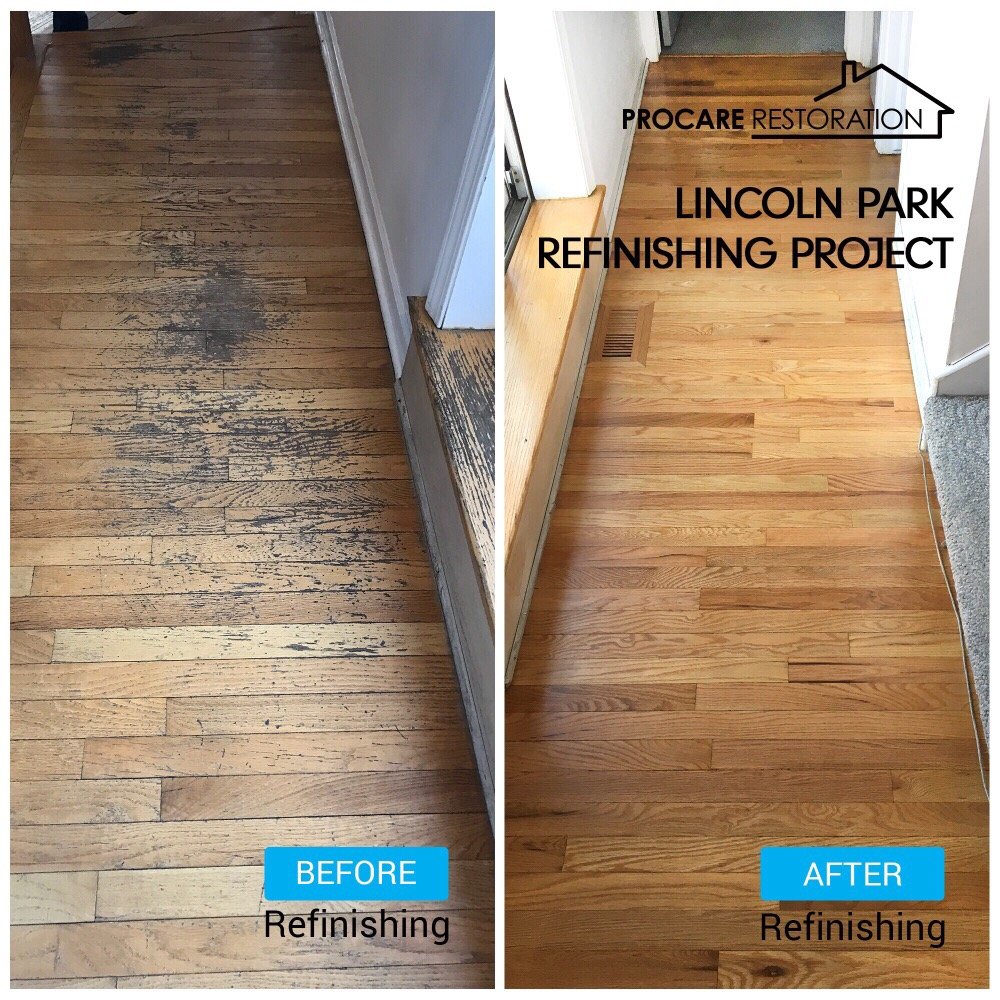 Photo of ProCare Restoration
