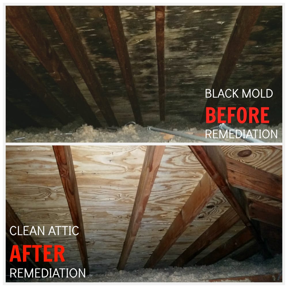 Photo of ProCare Restoration