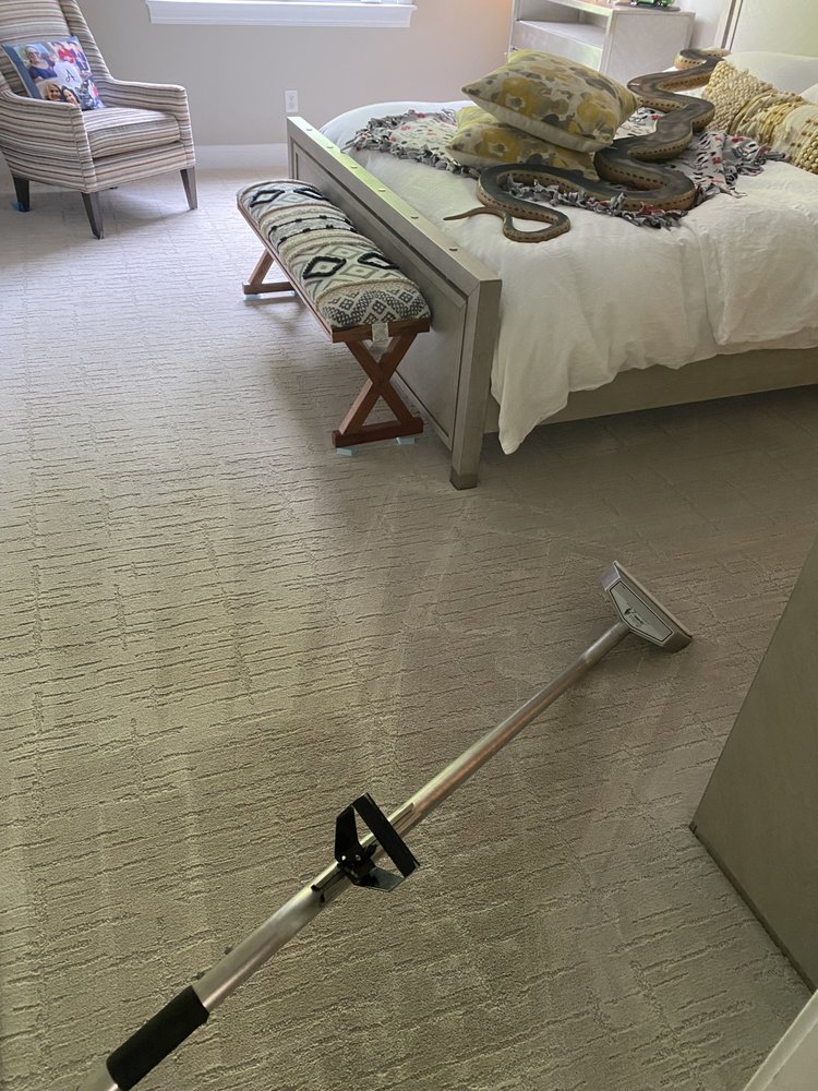 Photo of Regal Carpet Upholstery and Tile Cleaning