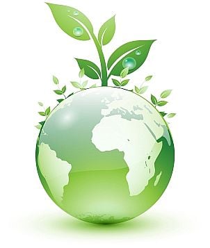 Photo of Eco-Clean Northwest