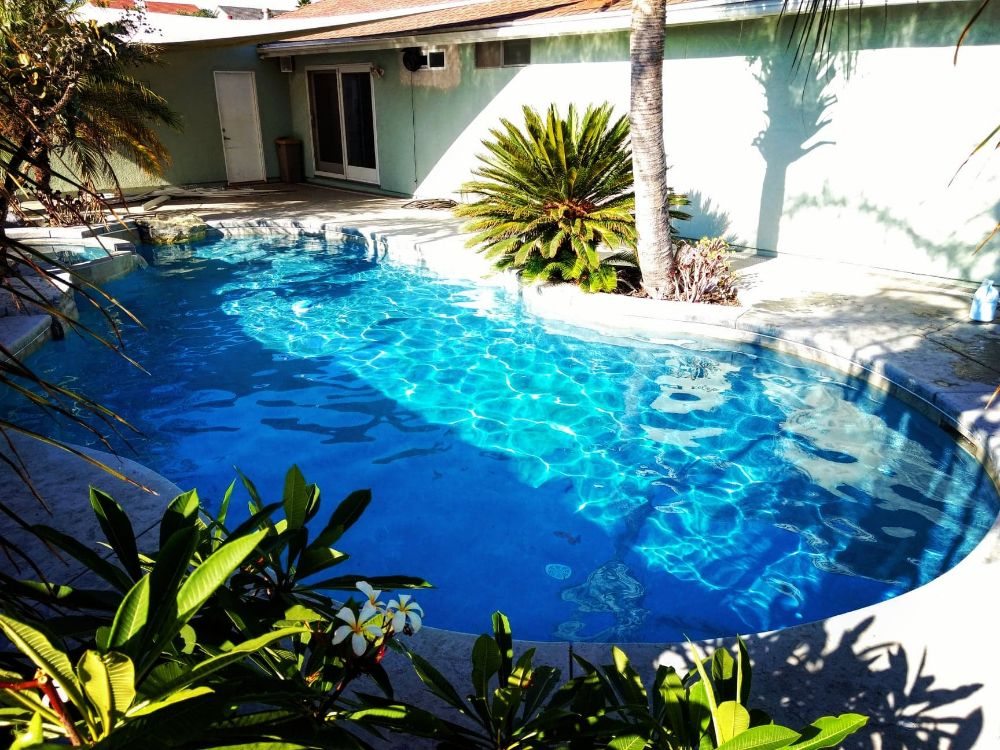 Photo of World Pool Cleaning