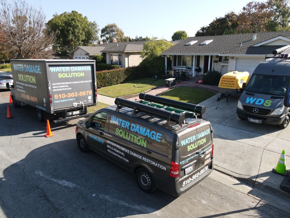 Photo of Water Damage Solution