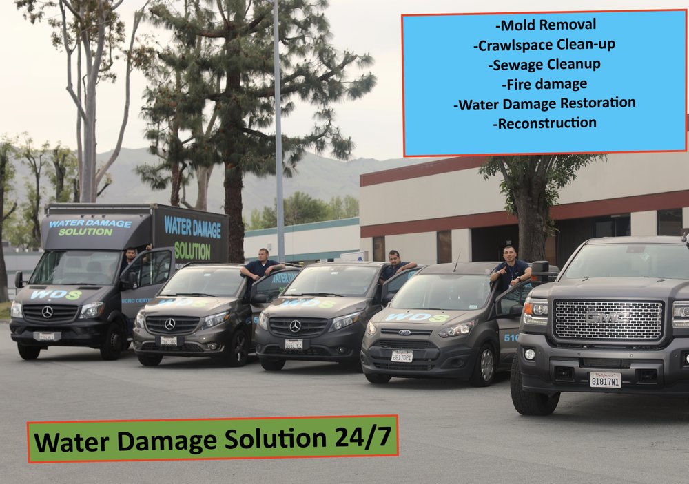 Photo of Water Damage Solution