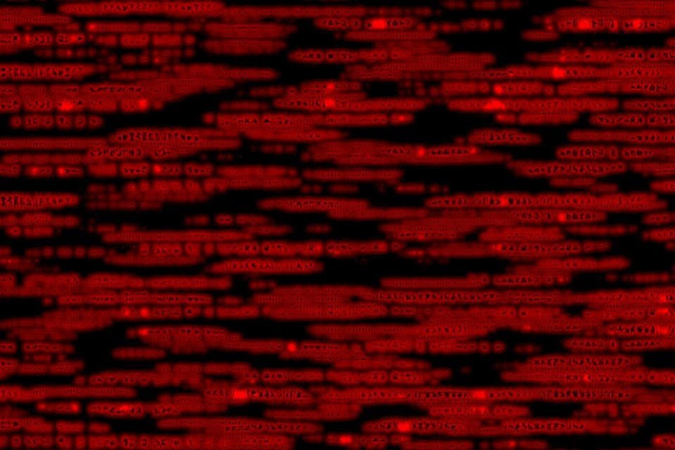 Photo of SimonTech Development