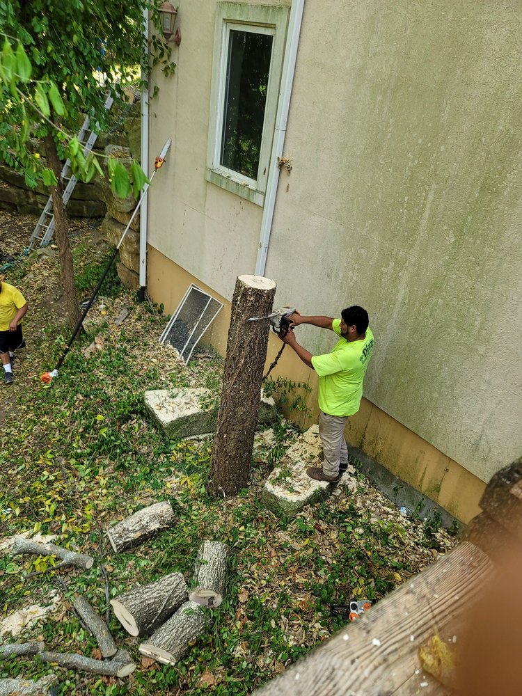 Photo of Diaz Lawn And Tree Service