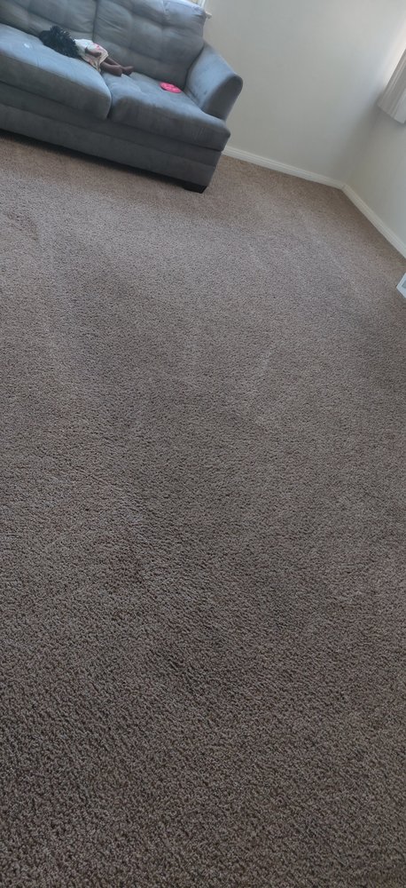 Photo of Steam Vs. Soil Carpet Cleaning