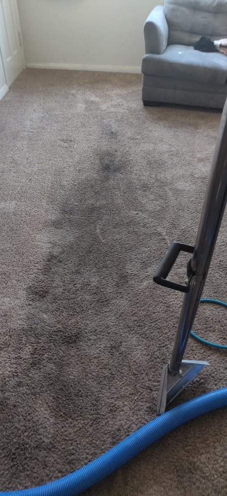 Photo of Steam Vs. Soil Carpet Cleaning