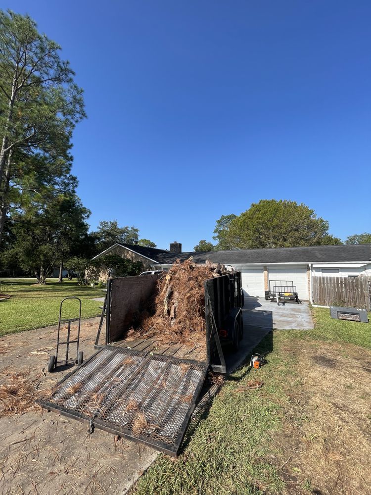 Photo of All Time Stump Grinding & Land Services