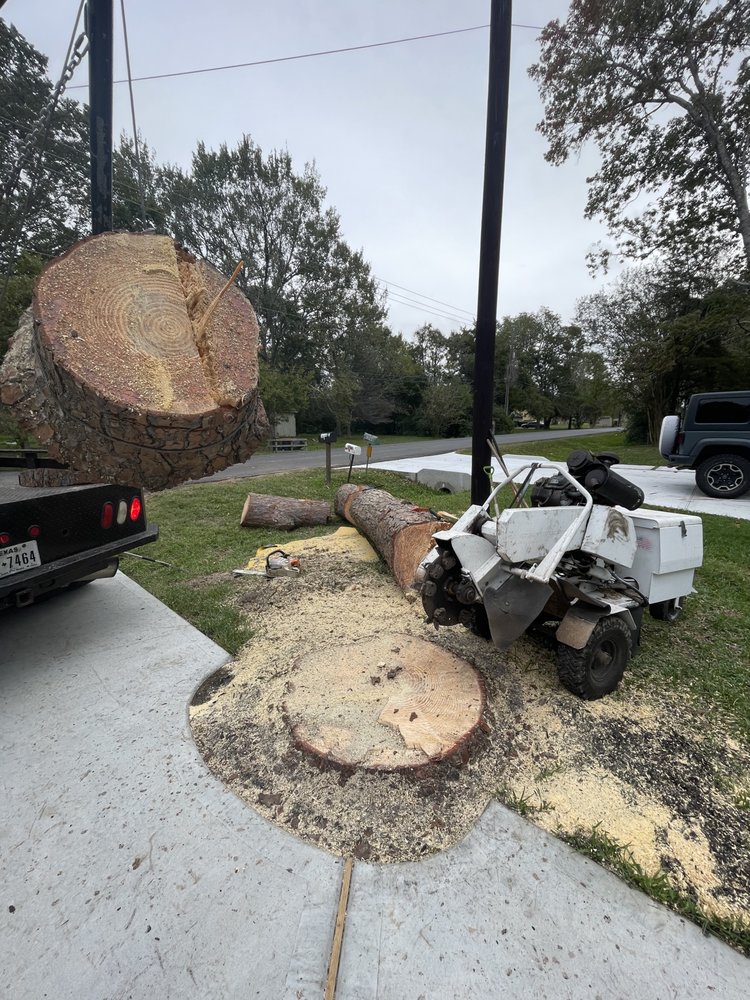 Photo of All Time Stump Grinding & Land Services