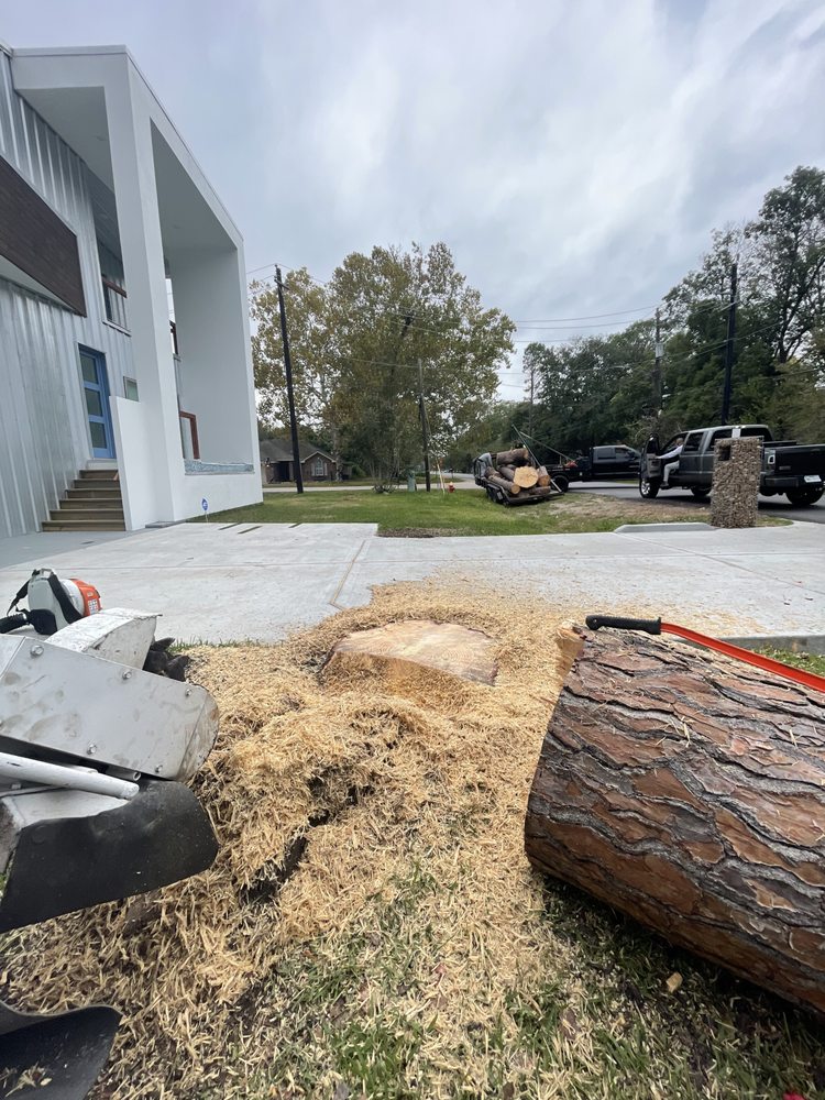 Photo of All Time Stump Grinding & Land Services