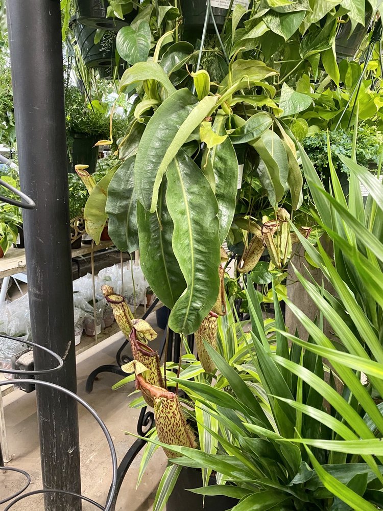 Photo of Millcreek Gardens
