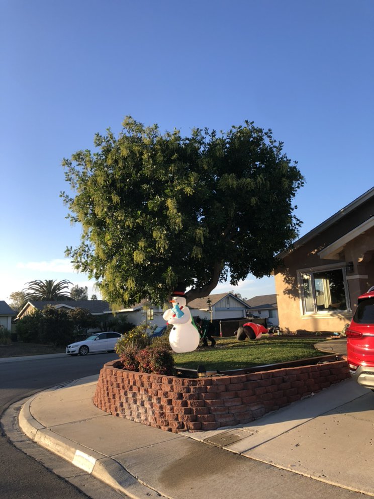 Photo of Matias Landscaping
