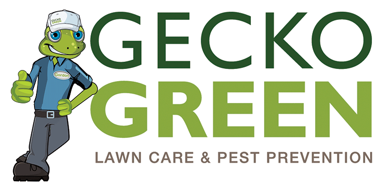 Photo of Gecko Green