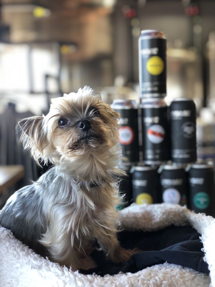 Photo of Harmonic Brewing