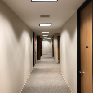 Photo of Lovelight Solutions