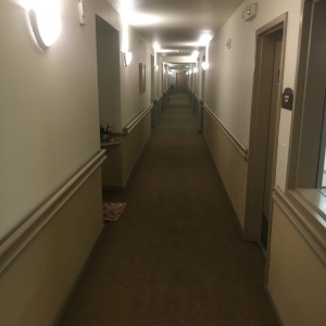 Photo of Lovelight Solutions
