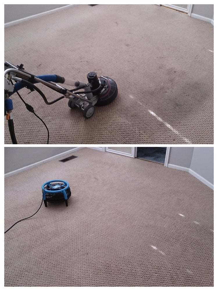 Photo of Spring Clean Carpets