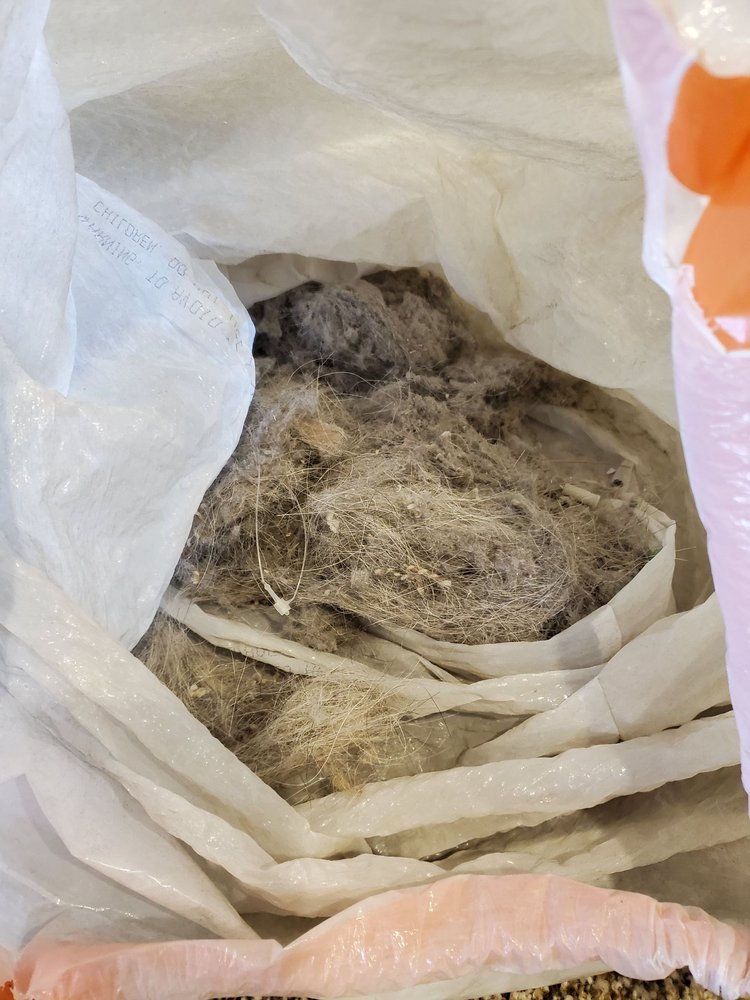 Photo of Berry's Superior Cleaning