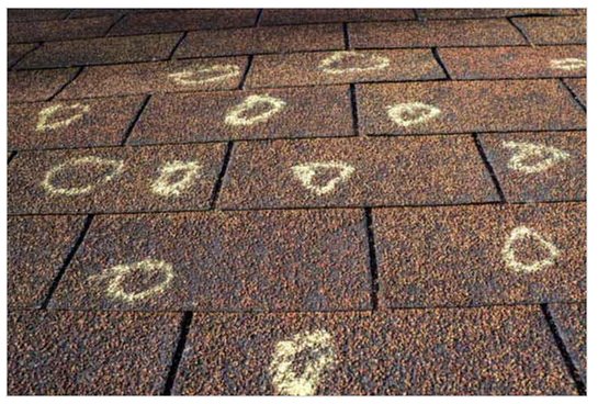 Photo of Metro East Roofing & Guttering