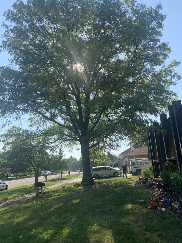 Photo of Columbus Tree Company