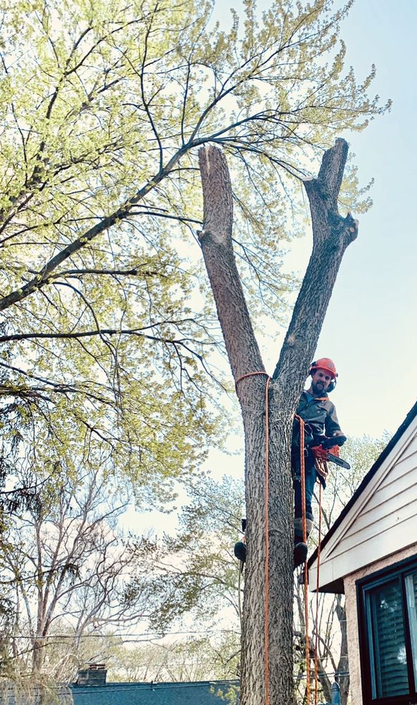Photo of Columbus Tree Company