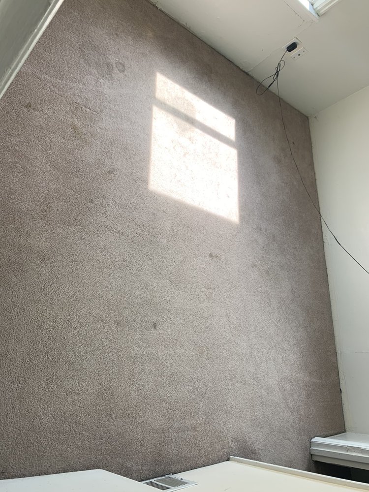 Photo of Accel Carpet Cleaning