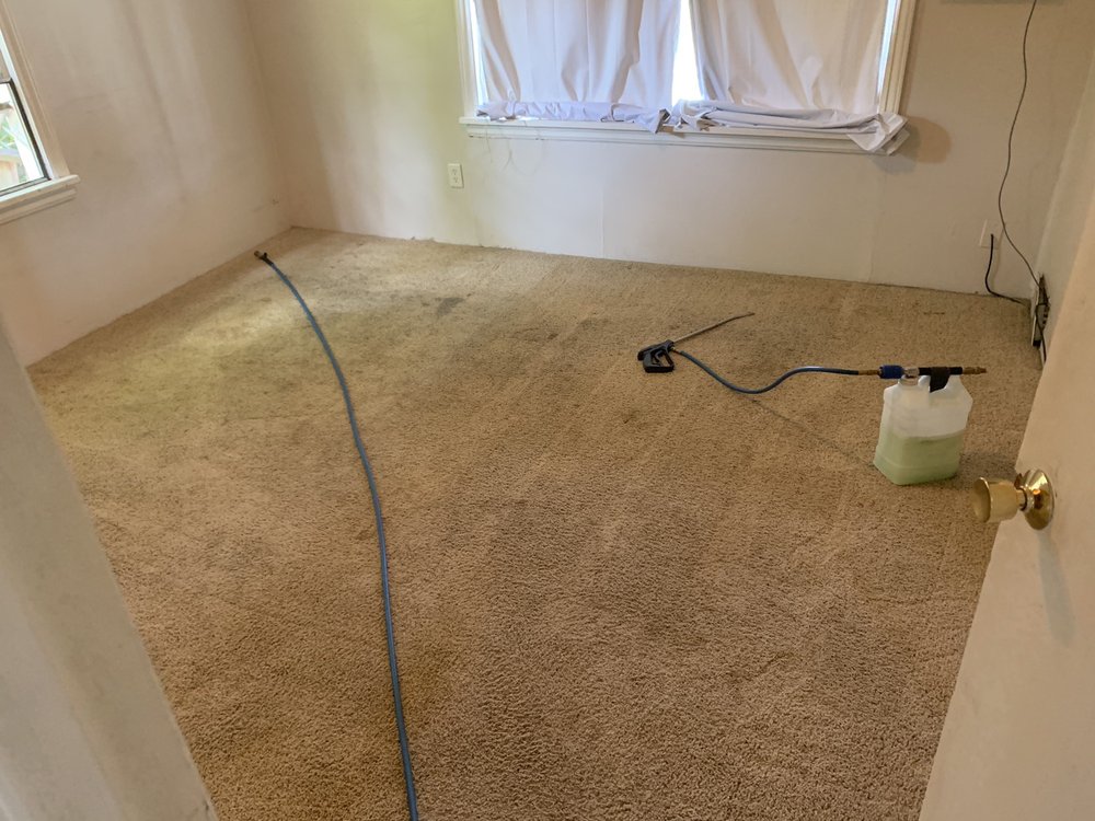 Photo of Accel Carpet Cleaning