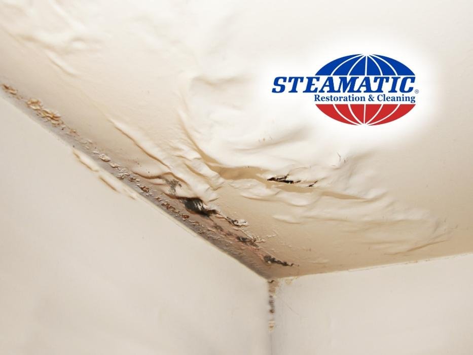 Photo of Steamatic
