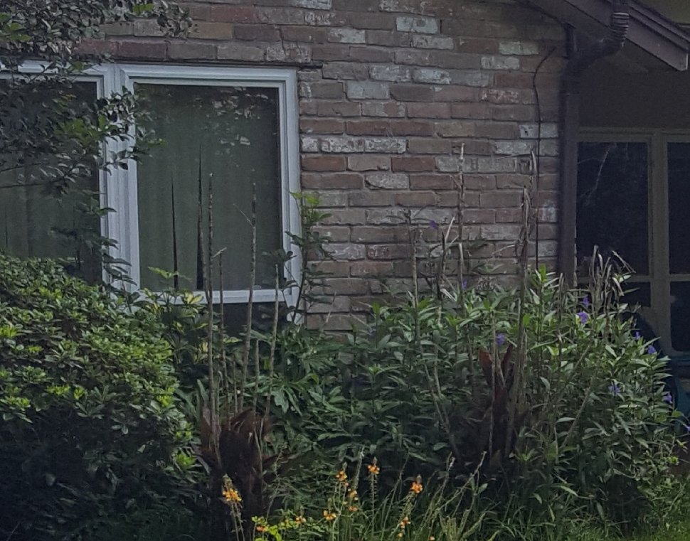 Photo of Precision Tree and Landscaping