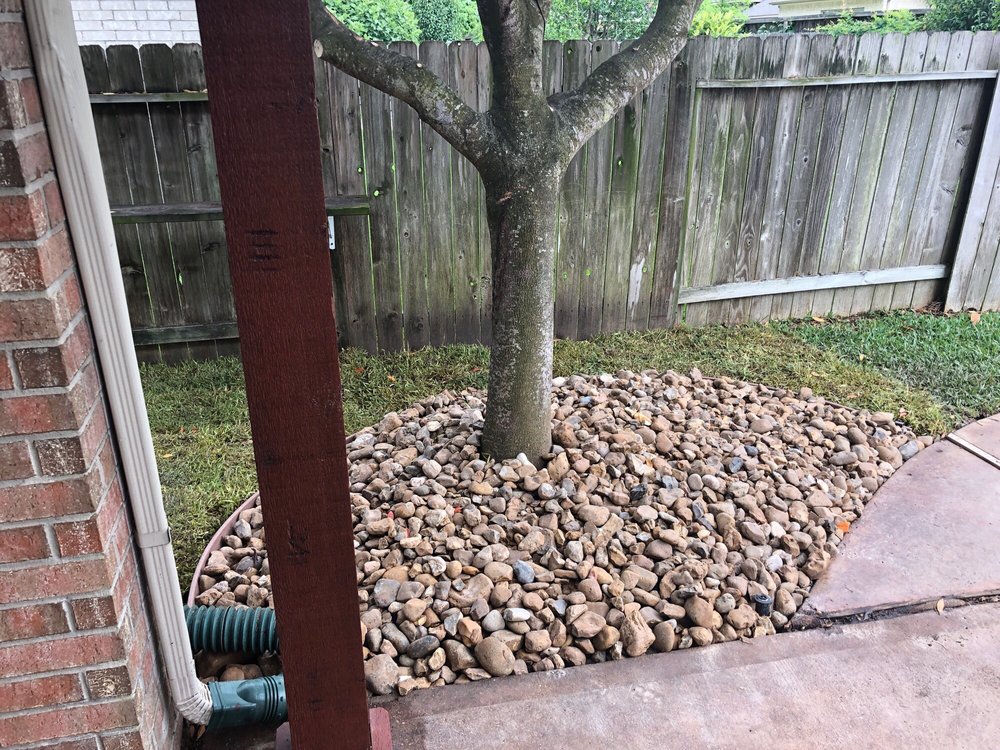 Photo of Precision Tree and Landscaping
